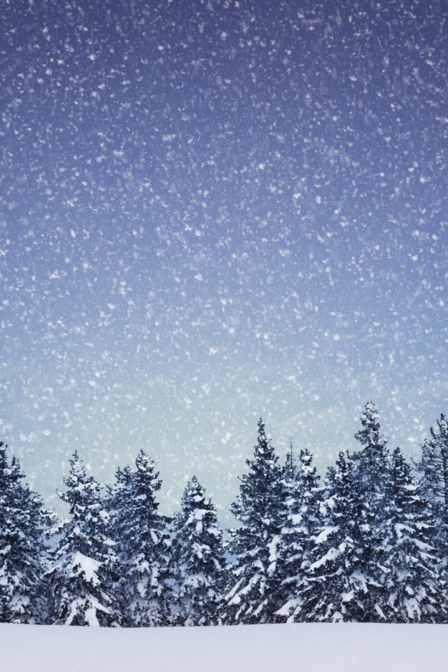 Winter Forest screenshot #1 640x960
