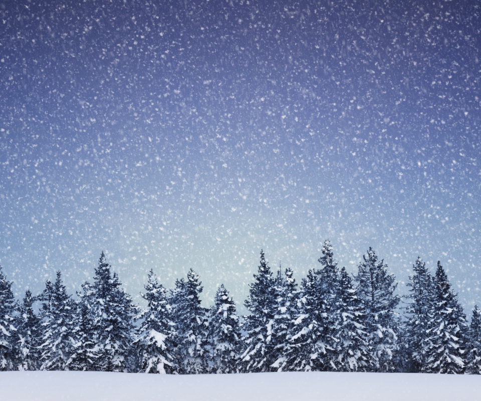 Das Winter Forest Wallpaper 960x800