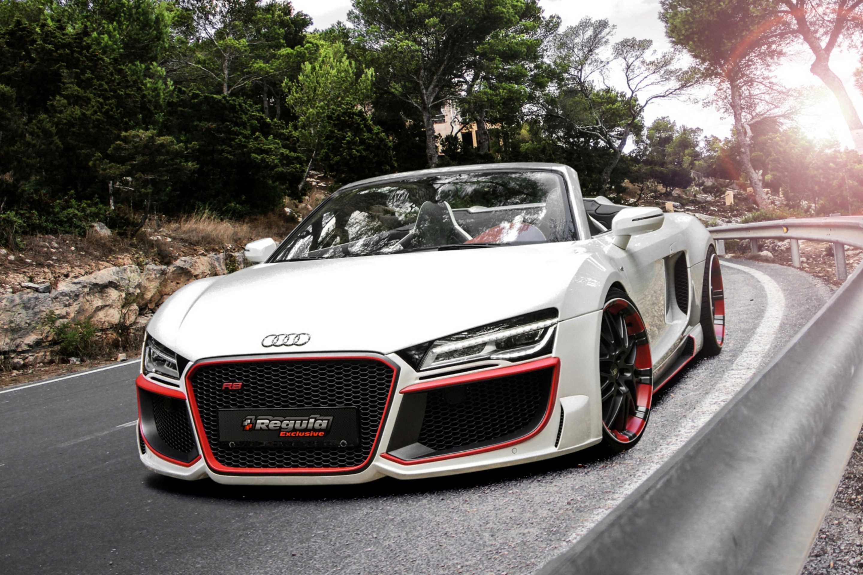 Audi R8 V10 wallpaper 2880x1920