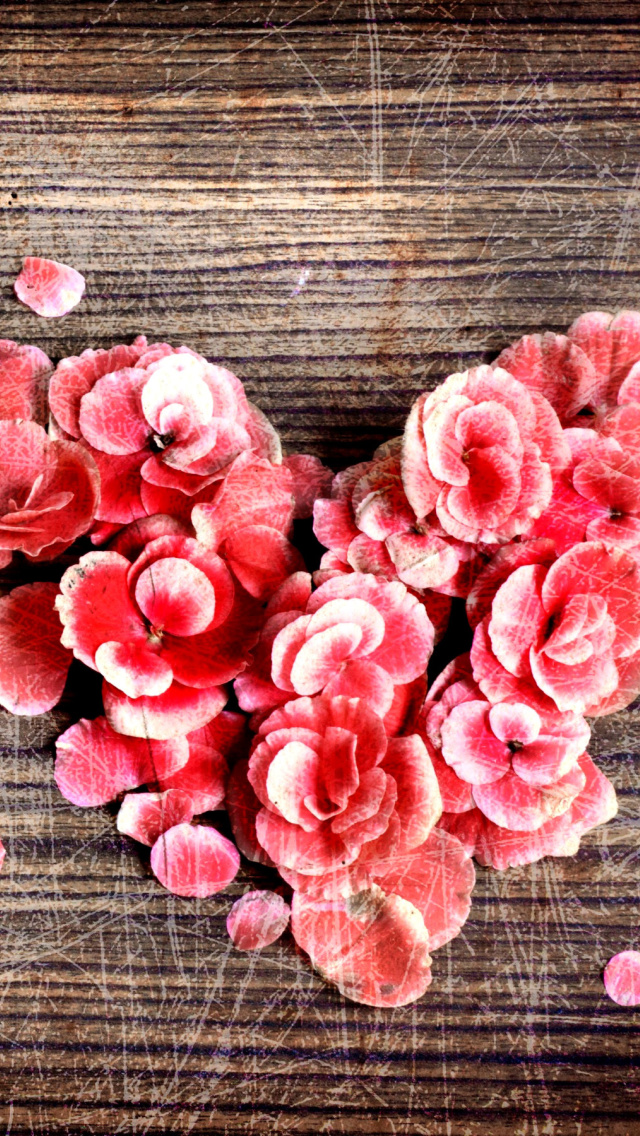 Heart Shaped Flowers wallpaper 640x1136