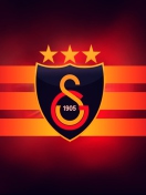 Galatasaray S.K. wallpaper 132x176