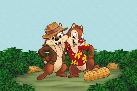 Chip and Dale Rescue Rangers 3 wallpaper 480x320