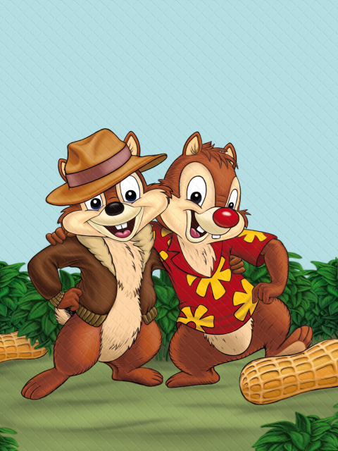 Das Chip and Dale Rescue Rangers 3 Wallpaper 480x640
