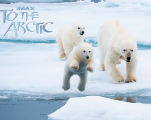 Fondo de pantalla To the Arctic 3D 220x176