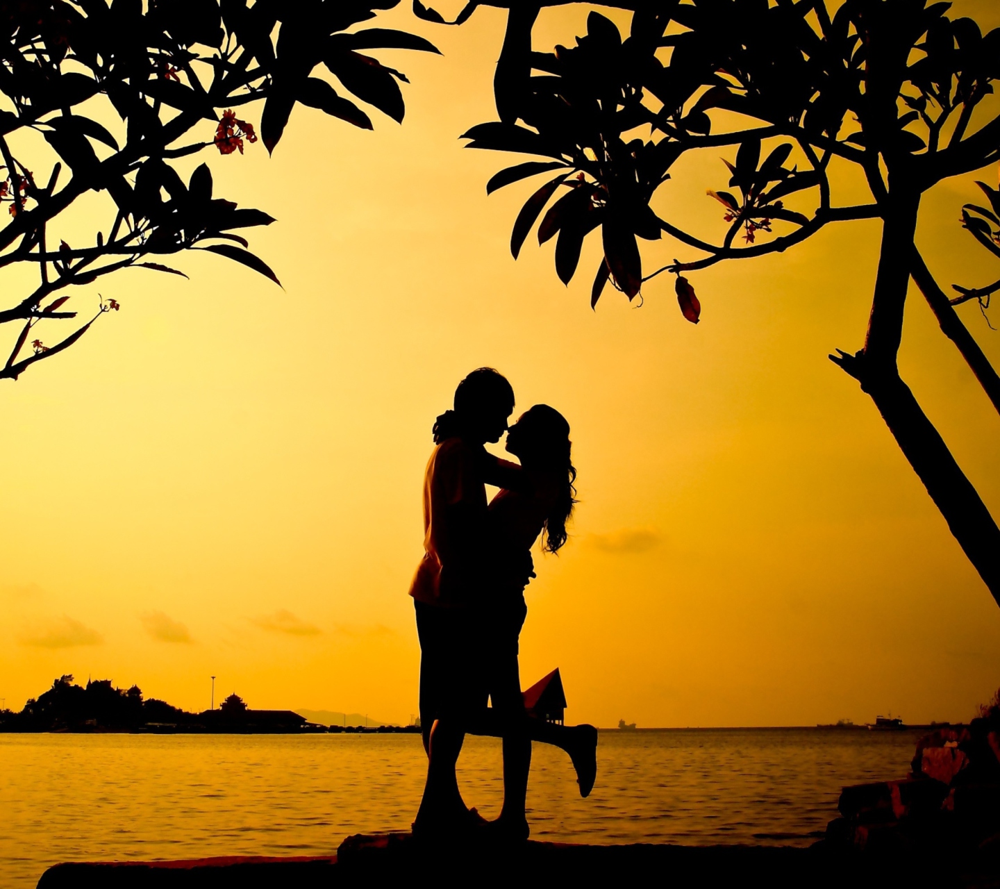 Fondo de pantalla Sunset Romance 1440x1280