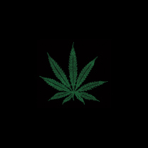 Fondo de pantalla Marijuana Leaf 208x208