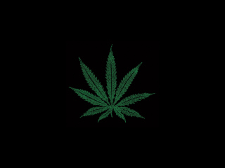 Das Marijuana Leaf Wallpaper 320x240