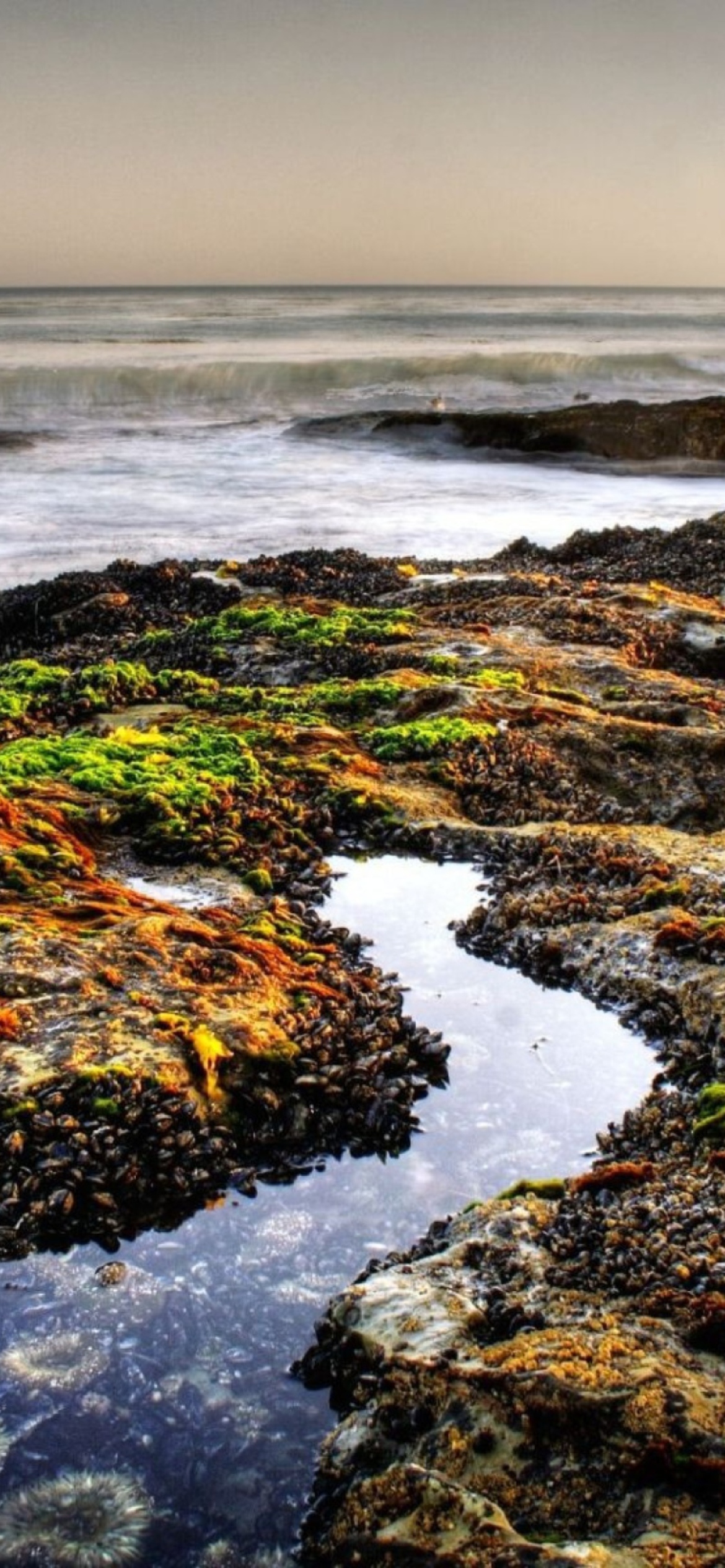 Sfondi Beach 1170x2532