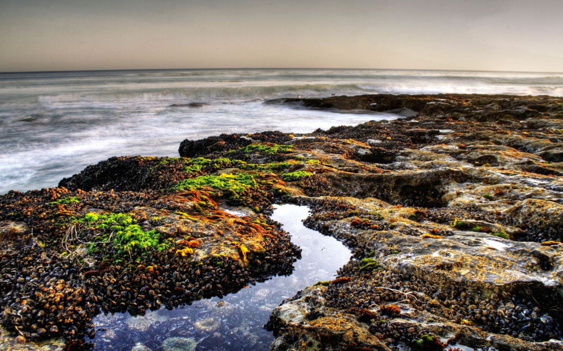 Sfondi Beach 1920x1200