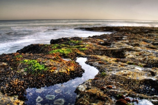Beach - Obrázkek zdarma pro Samsung Galaxy Tab 10.1