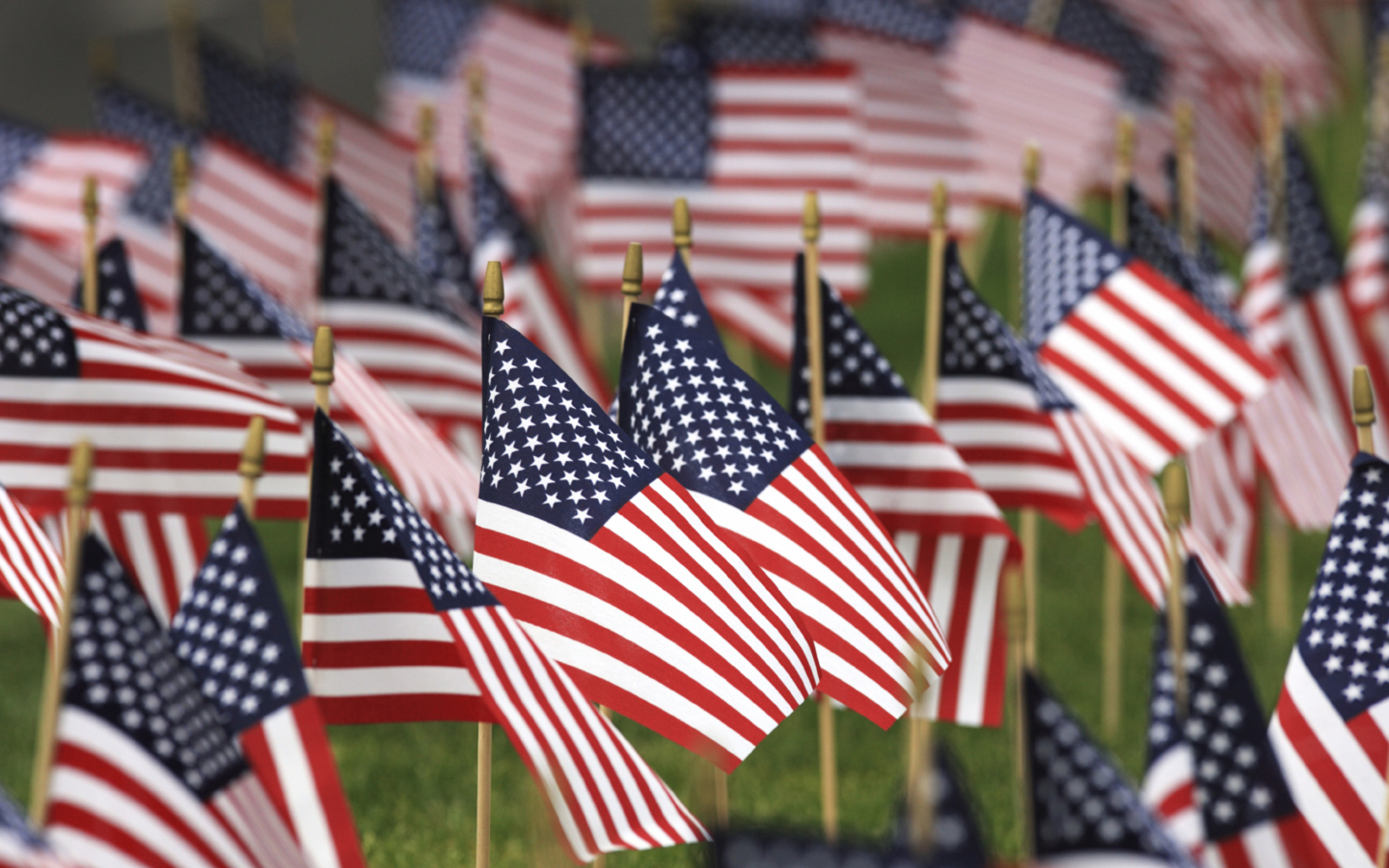 Das Memorial Day - United States Federal Holiday Wallpaper 1440x900