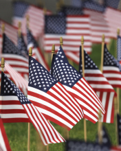 Memorial Day - United States Federal Holiday wallpaper 176x220