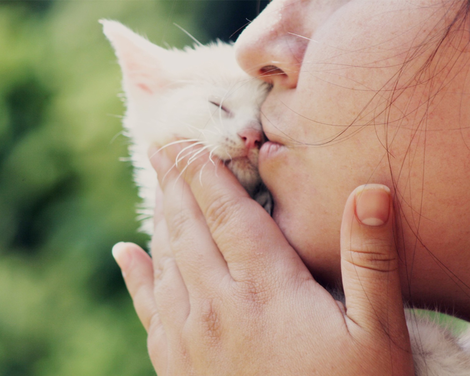 Das Girl Kissing Kitten Wallpaper 1600x1280