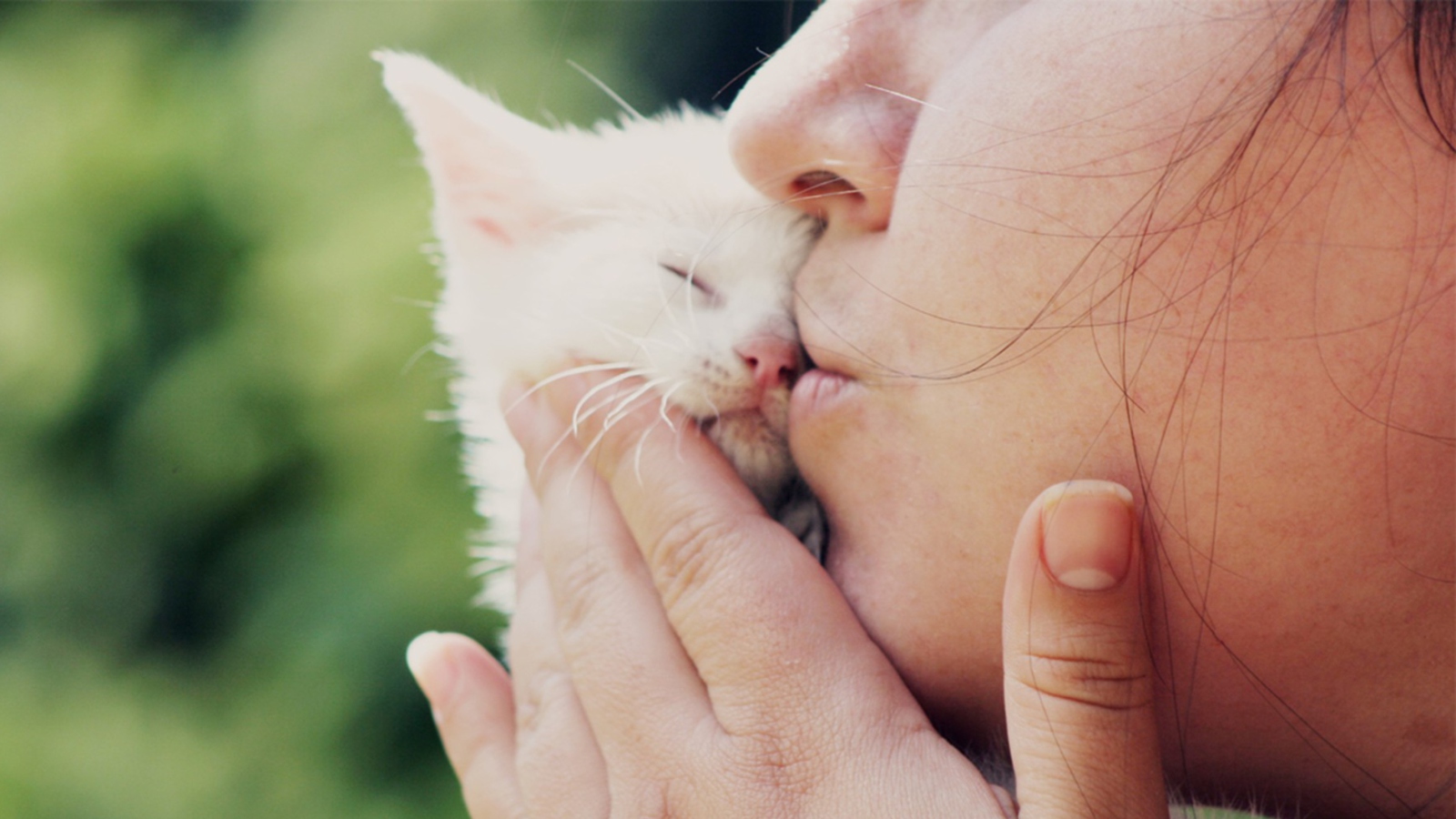 Fondo de pantalla Girl Kissing Kitten 1600x900