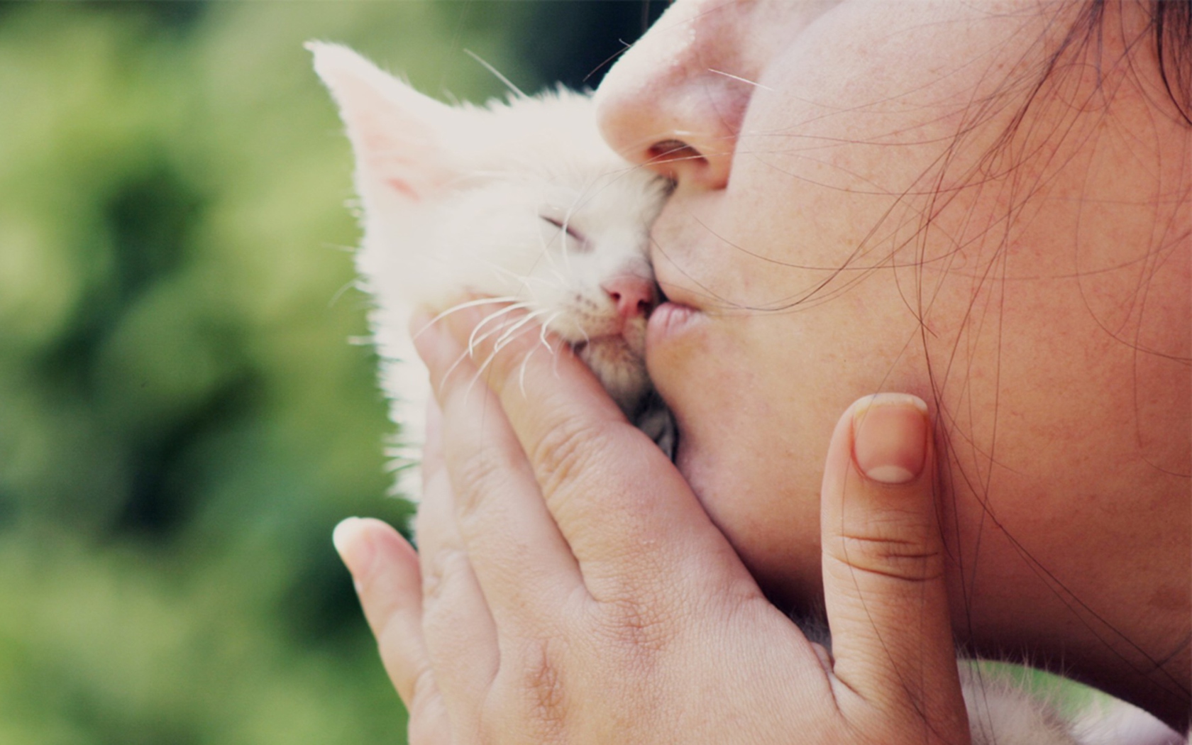 Fondo de pantalla Girl Kissing Kitten 1680x1050