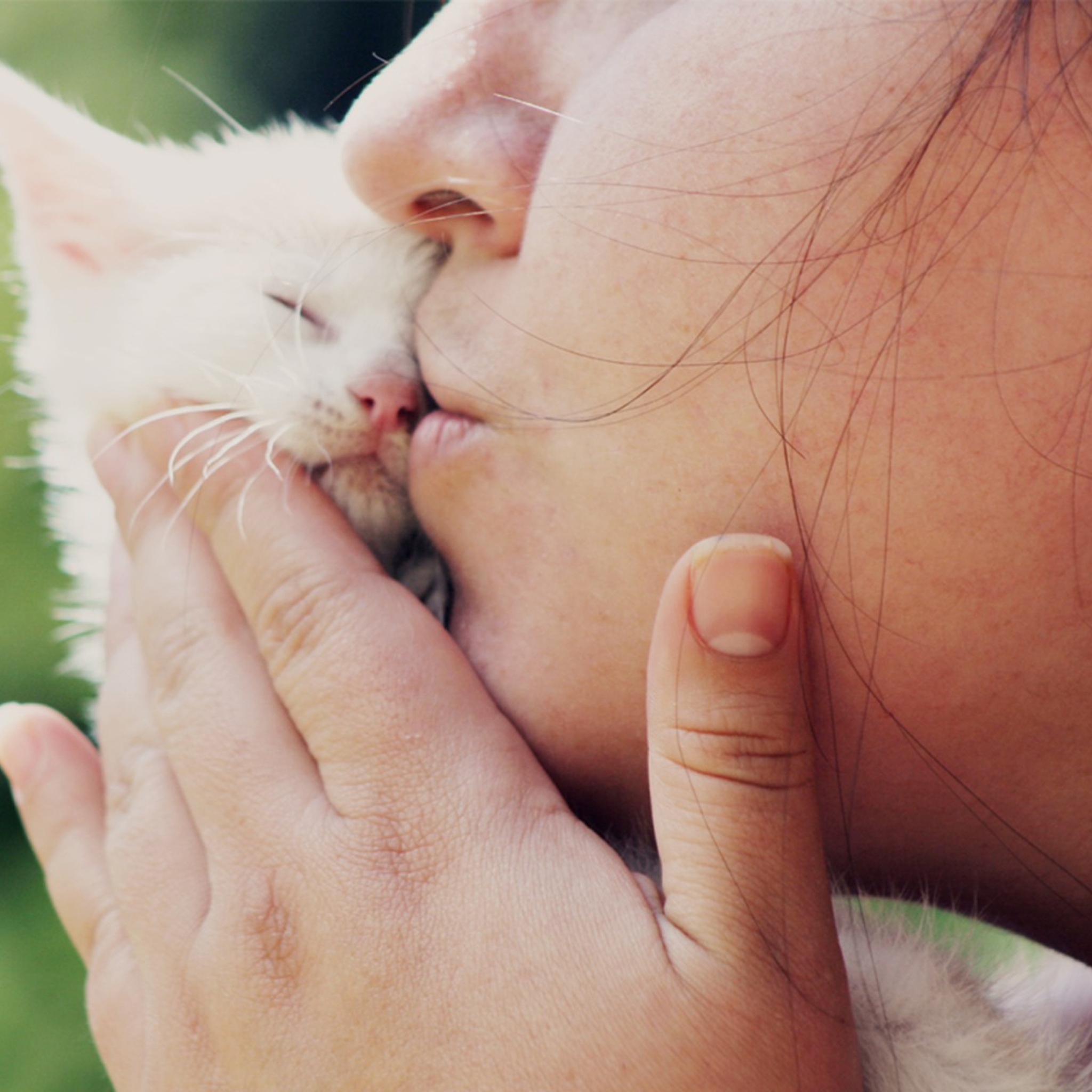 Fondo de pantalla Girl Kissing Kitten 2048x2048