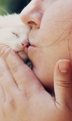 Das Girl Kissing Kitten Wallpaper 240x400