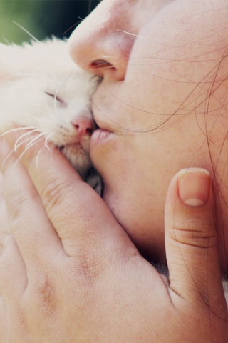 Das Girl Kissing Kitten Wallpaper 320x480