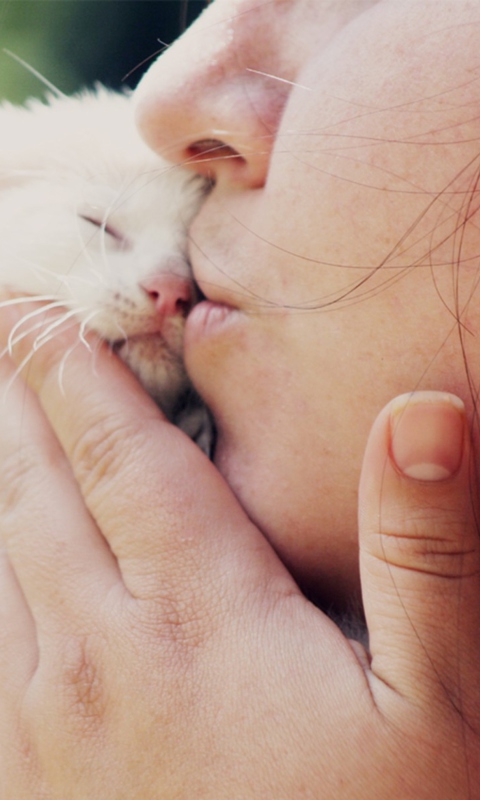 Girl Kissing Kitten screenshot #1 480x800