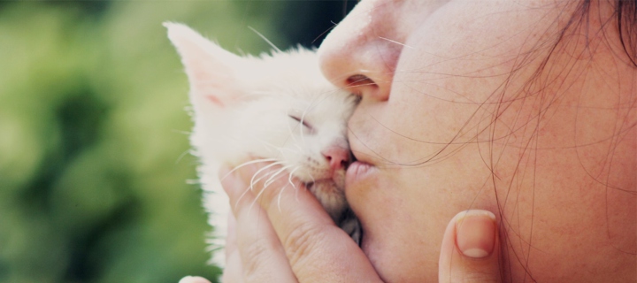 Fondo de pantalla Girl Kissing Kitten 720x320