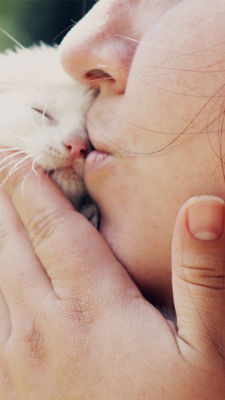 Das Girl Kissing Kitten Wallpaper 750x1334
