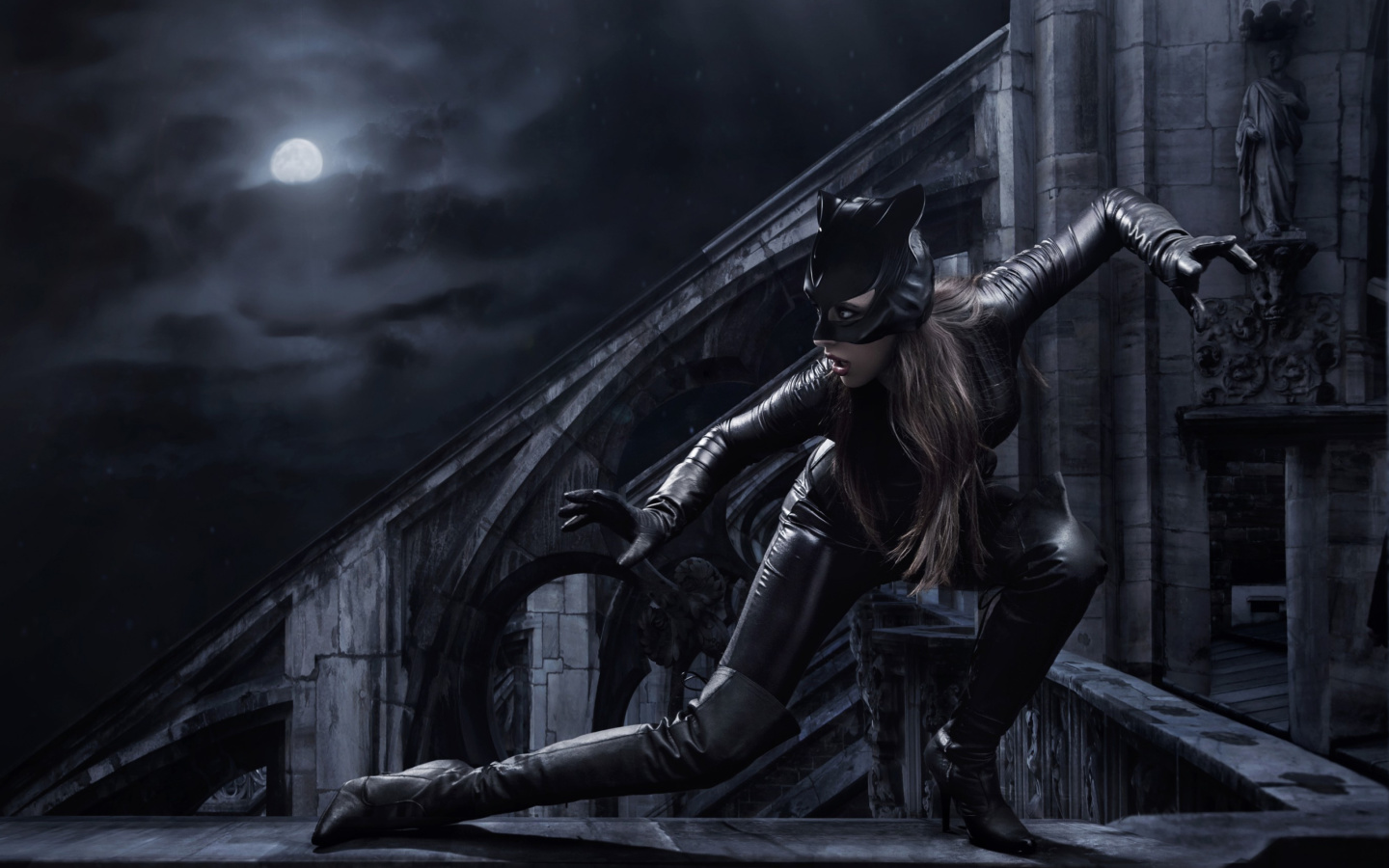 Fondo de pantalla Catwoman DC Comics 1440x900