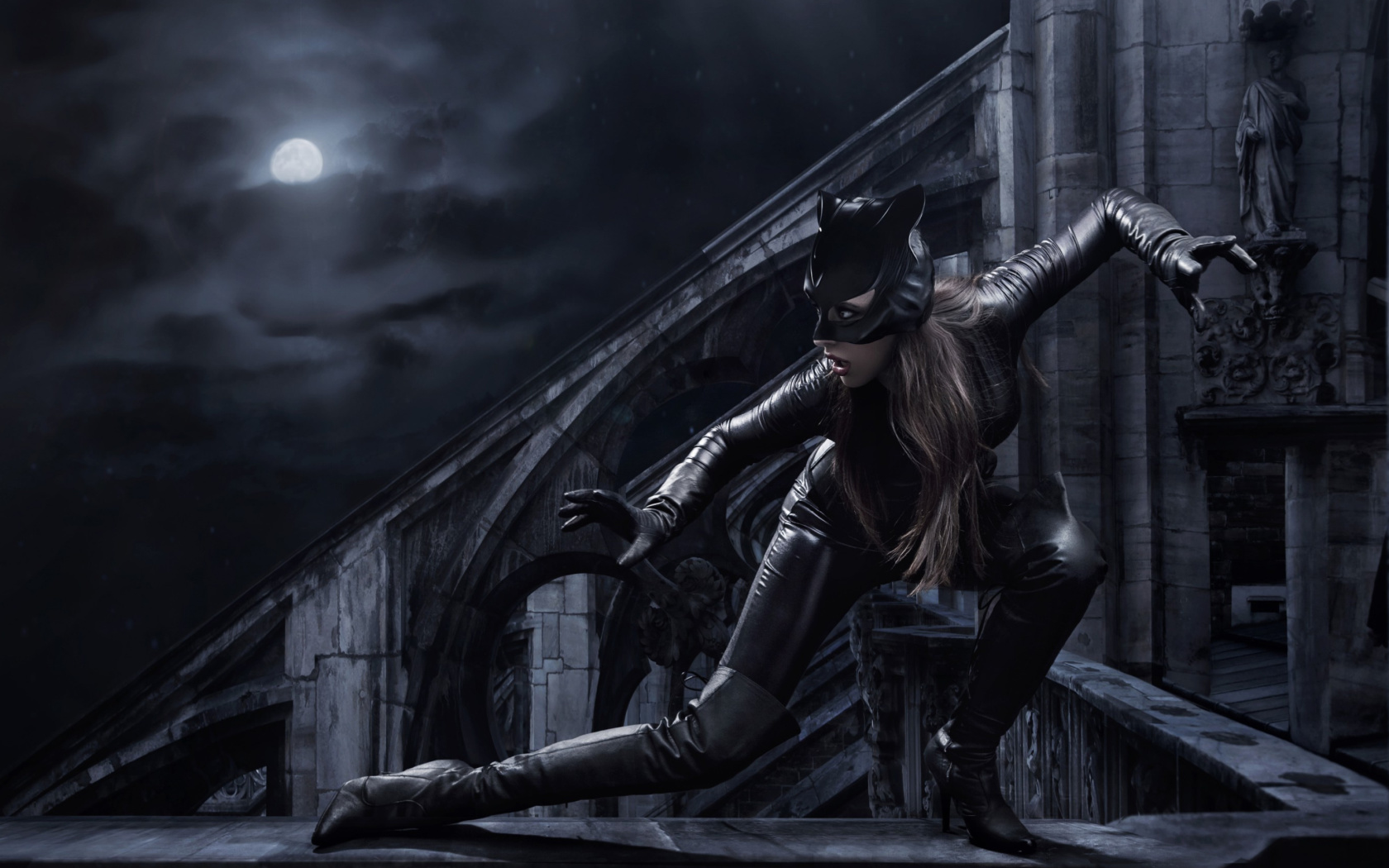 Das Catwoman DC Comics Wallpaper 1680x1050