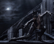 Catwoman DC Comics wallpaper 176x144