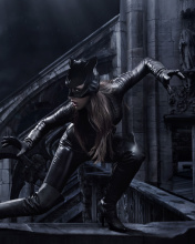 Screenshot №1 pro téma Catwoman DC Comics 176x220