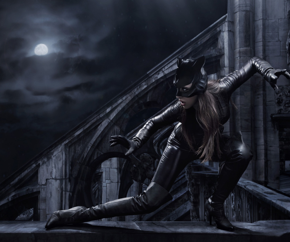 Screenshot №1 pro téma Catwoman DC Comics 960x800