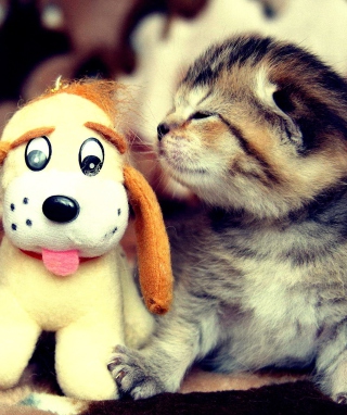 Kitty And Toy - Obrázkek zdarma pro iPhone 5C