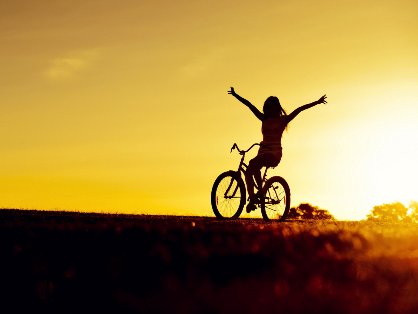 Fondo de pantalla Bicycle Ride At Golden Sunset 1400x1050