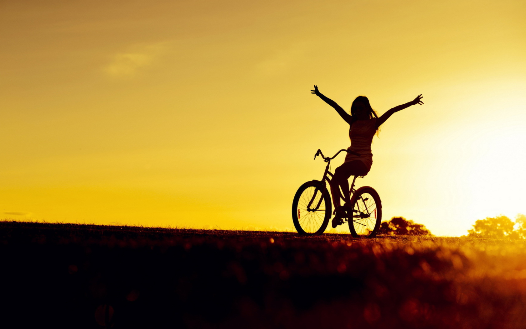 Fondo de pantalla Bicycle Ride At Golden Sunset 1680x1050