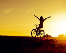 Das Bicycle Ride At Golden Sunset Wallpaper 220x176
