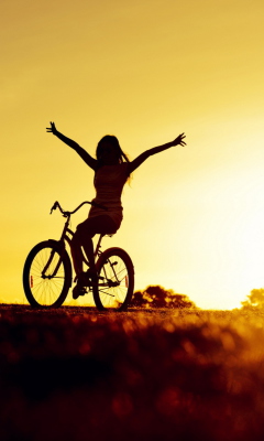Fondo de pantalla Bicycle Ride At Golden Sunset 240x400