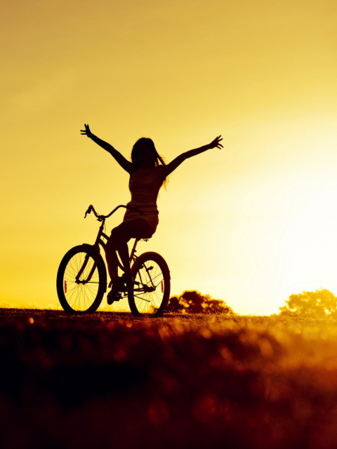 Обои Bicycle Ride At Golden Sunset 480x640
