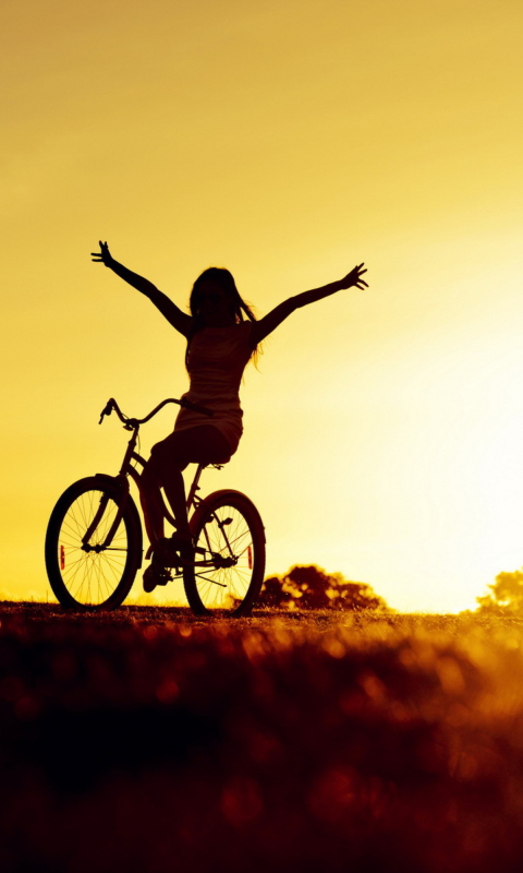 Das Bicycle Ride At Golden Sunset Wallpaper 480x800