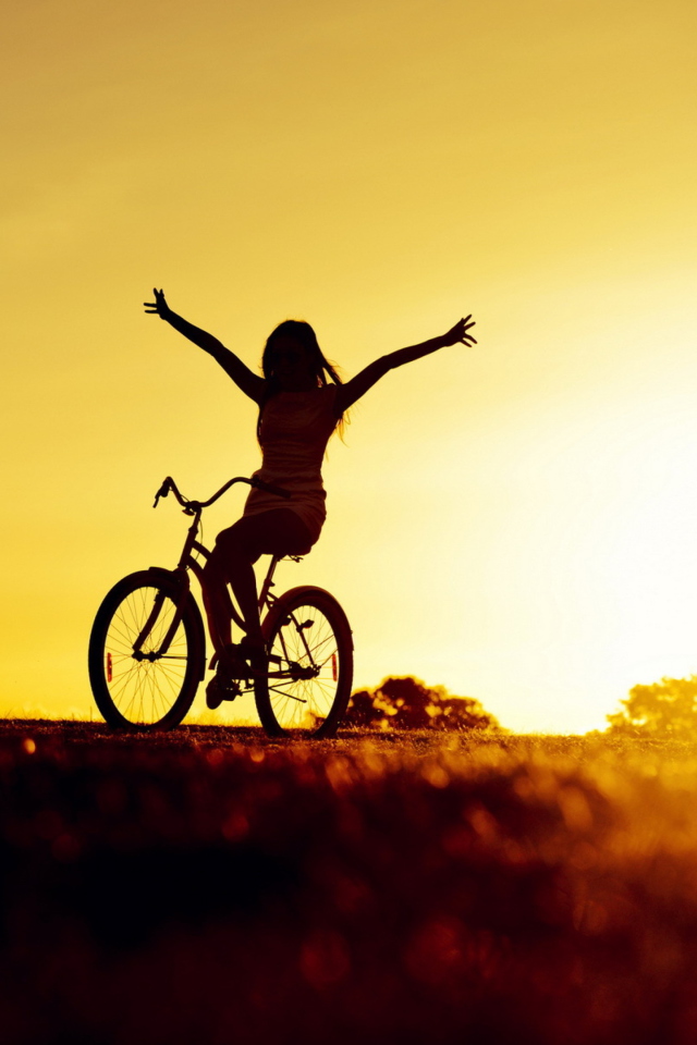 Обои Bicycle Ride At Golden Sunset 640x960