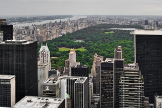 Kostenloses Central Park Photo Walking Wallpaper für Android, iPhone und iPad