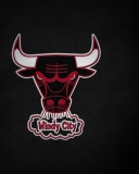 Das Chicago Bulls HD Wallpaper 128x160