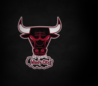 Chicago Bulls HD - Obrázkek zdarma pro 1024x1024