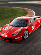 Ferrari Challenge Series wallpaper 132x176