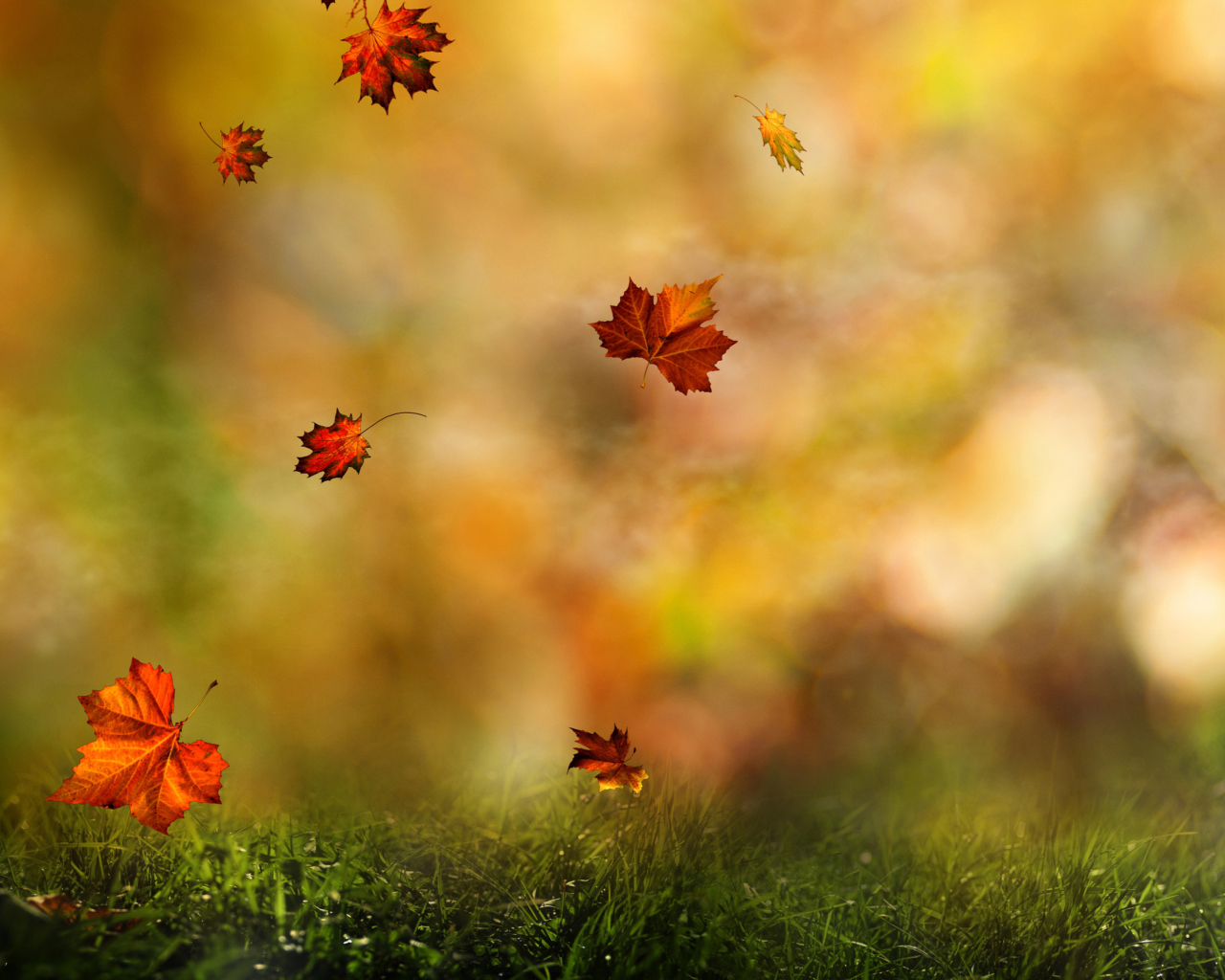 Screenshot №1 pro téma Autumn Symphony 1280x1024