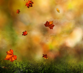 Free Autumn Symphony Picture for iPad 3
