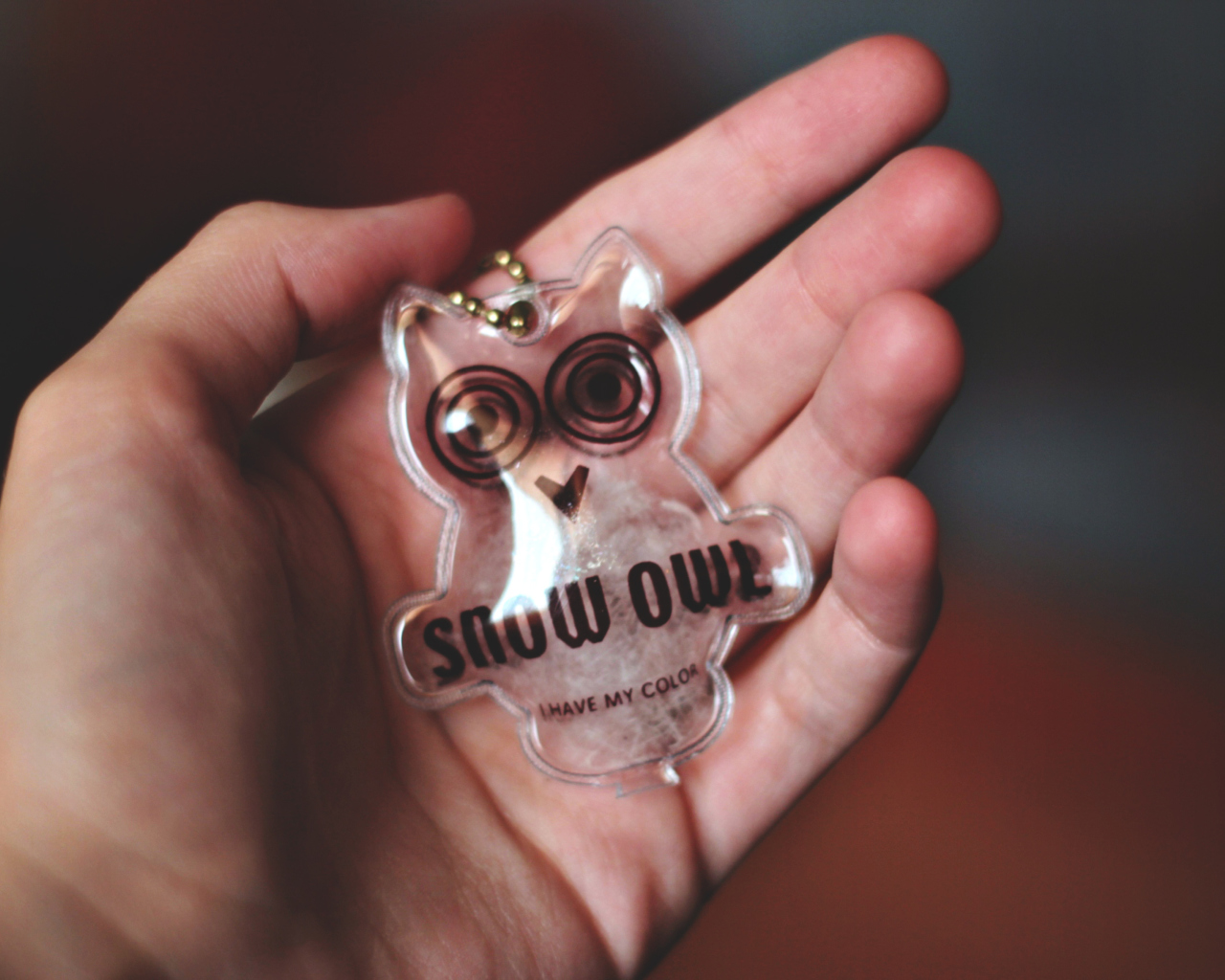 Sfondi Owl Key Chain 1280x1024