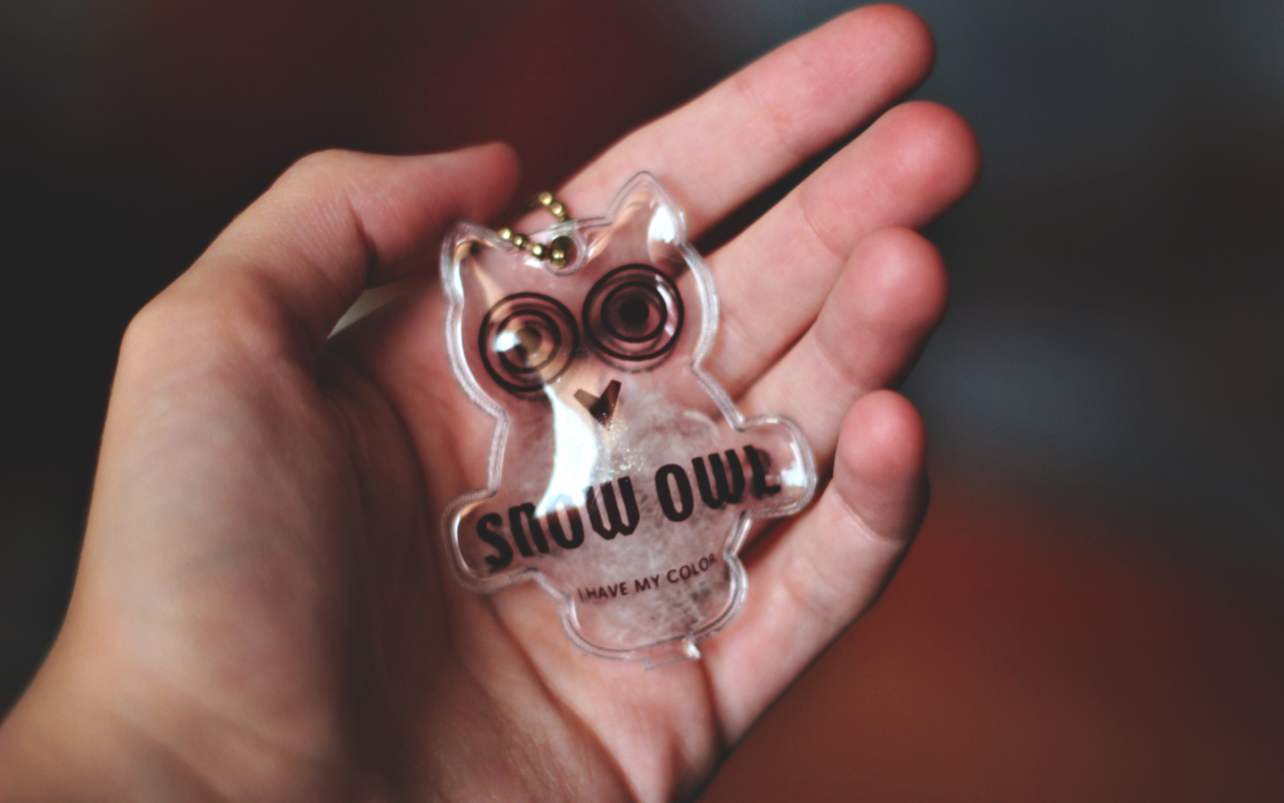 Owl Key Chain wallpaper 1440x900