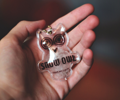 Sfondi Owl Key Chain 480x400