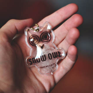 Owl Key Chain sfondi gratuiti per 208x208