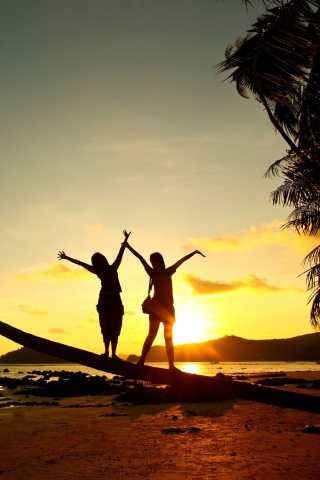 Happiness At Sunset wallpaper 320x480