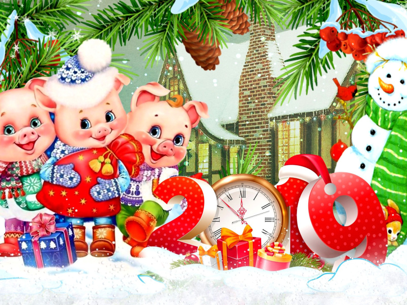 Das 2019 Pig New Year Chinese Horoscope Wallpaper 800x600